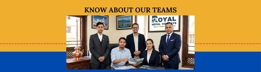 Our Team