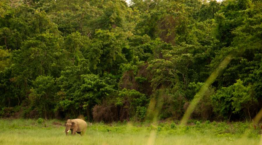 scenic nepal tour packages