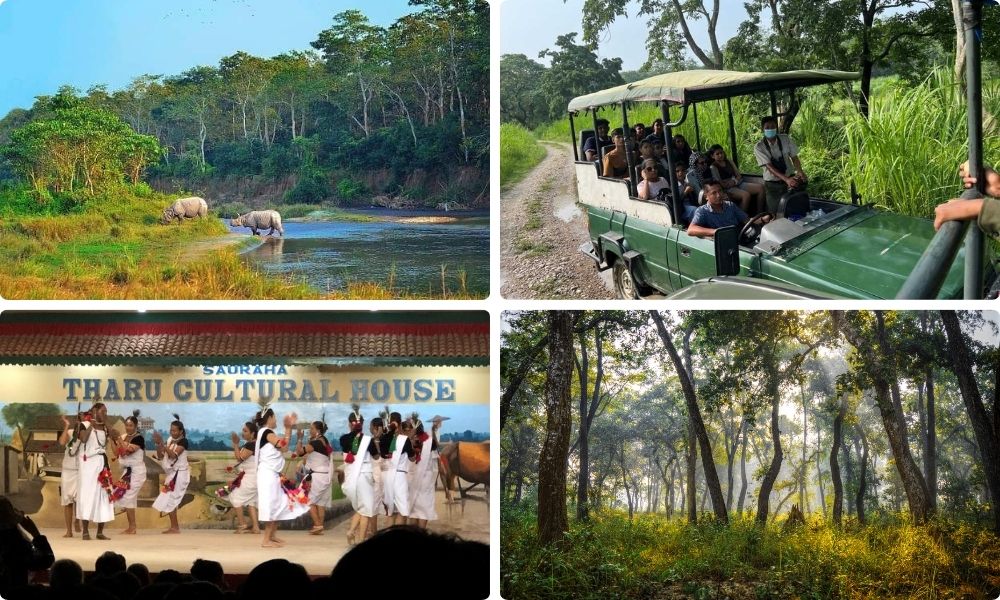 Chitwan Jungle Safari Tour - 2 Days