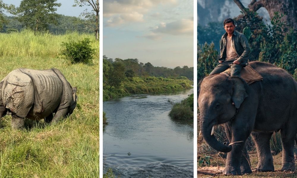 Chitwan Jungle Safari Tour - 4 Days
